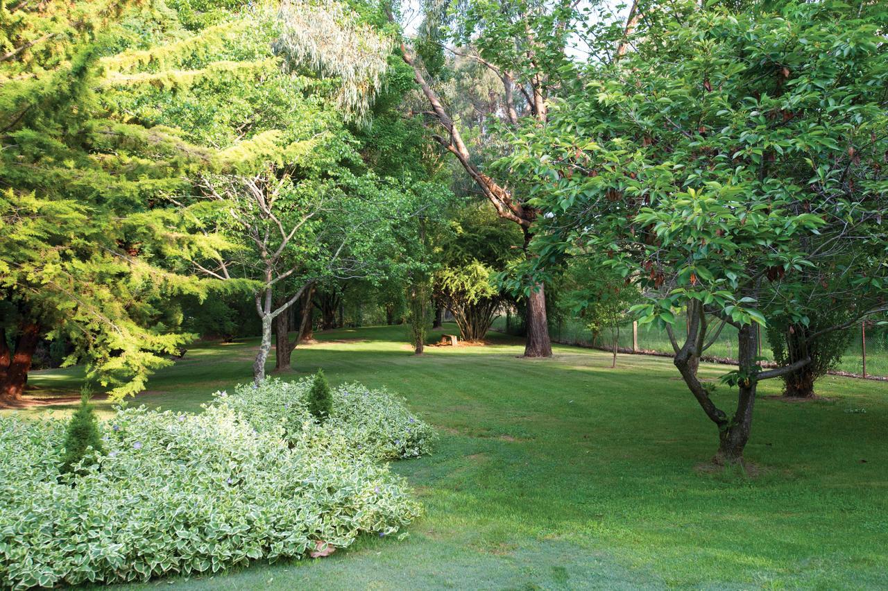 Clifton Gardens Bed & Breakfast - Orange Bagian luar foto